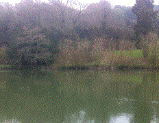 PEG 56 Pictures